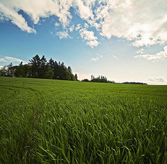 A New Customizable Application for Farmers and Gardeners Image